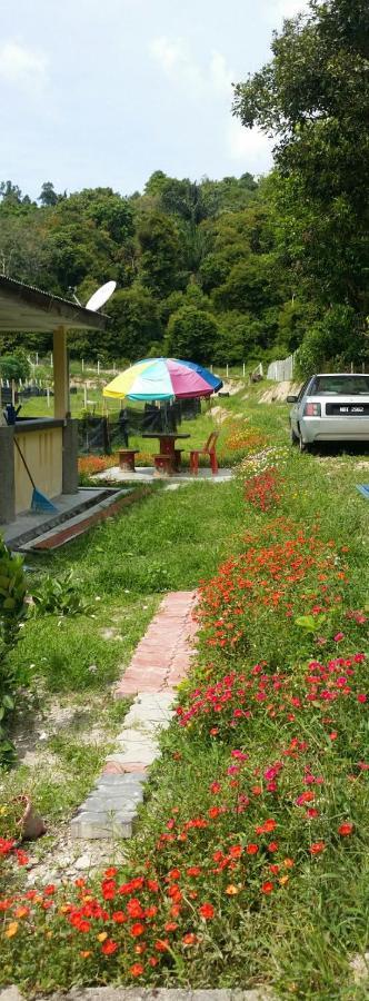 Kuntum Cottage Bed & Breakfast Kampung Tanjung Ipoh エクステリア 写真
